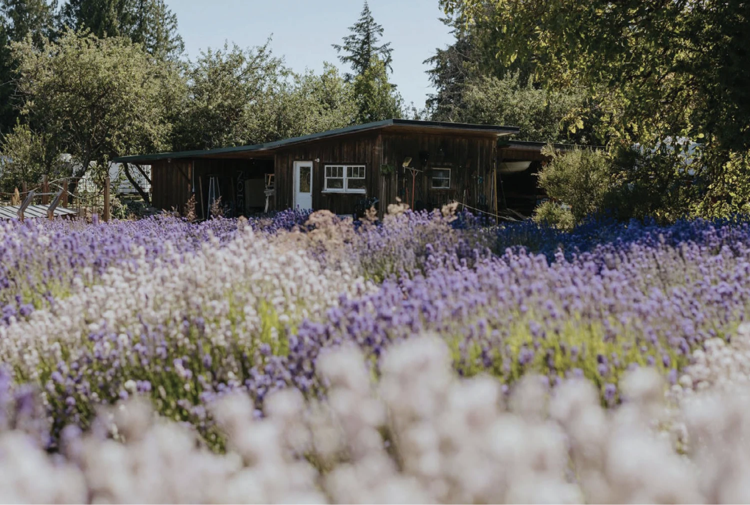 Colwood location overview